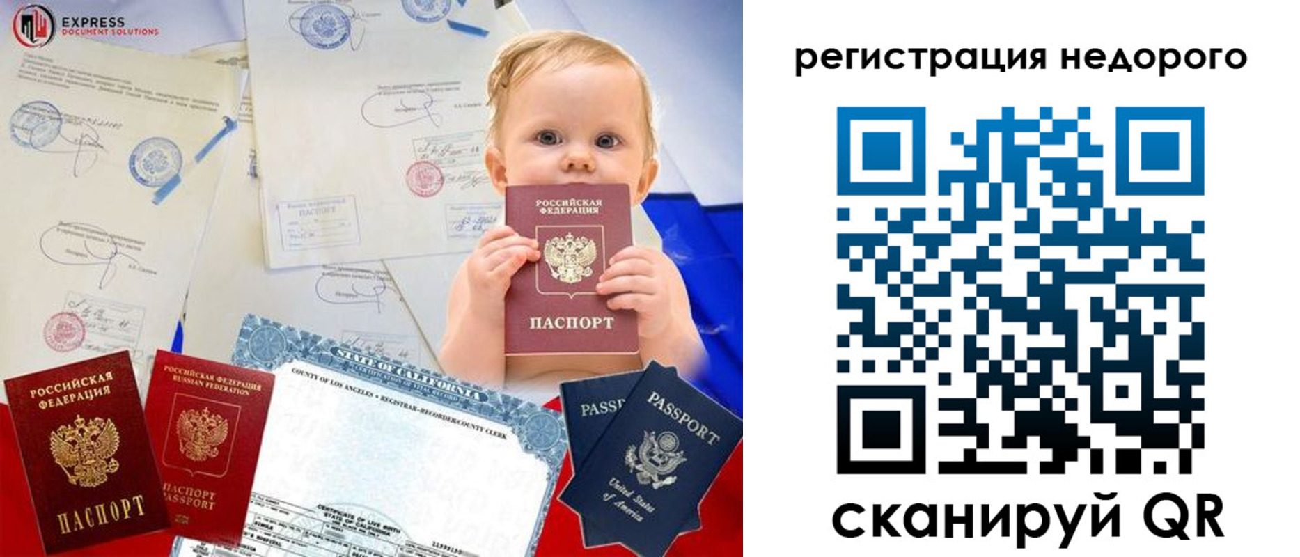 миграционный учет в Светлом